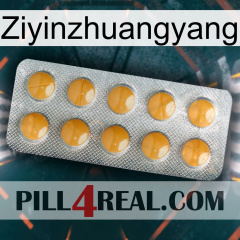 Ziyinzhuangyang levitra1